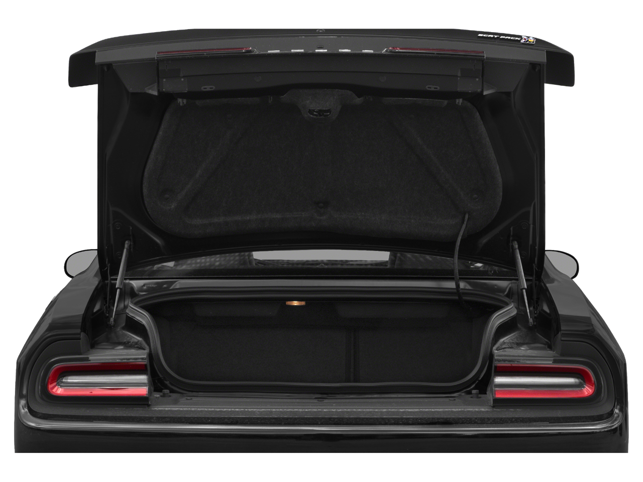2023 Dodge Challenger R/T Scat Pack Widebody Swinger Special Edition