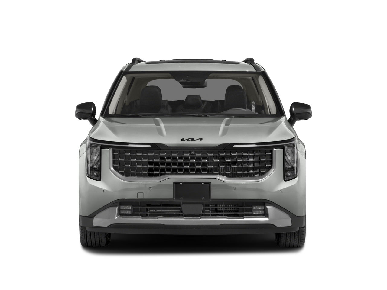 2025 Kia Carnival Hybrid SX