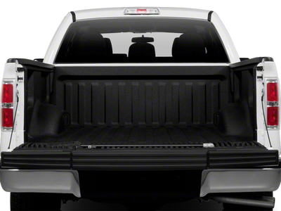 2010 Ford F-150 FX2