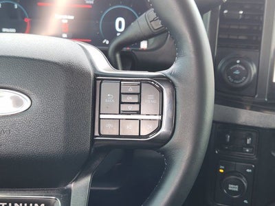 2025 Ford F-250SD Platinum