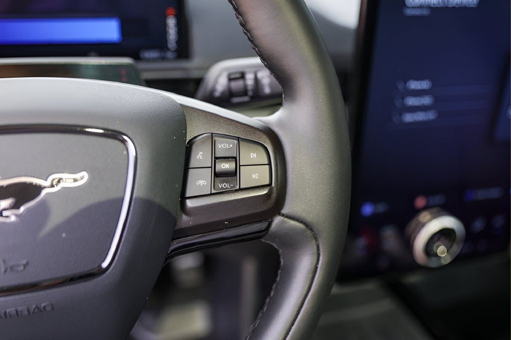 2021 Ford Mustang Mach-E California Route 1