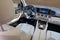 2022 Mercedes-Benz GLE GLE 350 4MATIC®