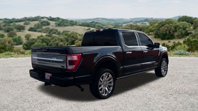 2023 Ford F-150 Limited