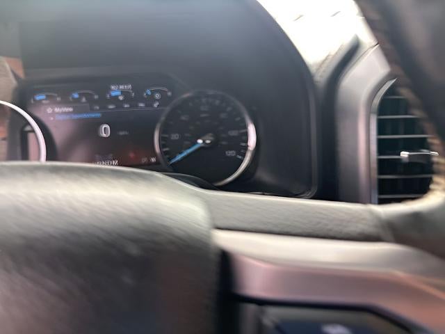 2021 Ford Expedition Platinum 4x2