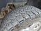 2014 Chevrolet Silverado 2500 HD Crew Cab Standard Box 4-Wheel Drive LTZ