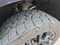 2024 GMC Yukon XL 4WD 4dr Denali