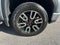 2025 GMC Sierra 1500 Crew Cab Short Box 4-Wheel Drive AT4