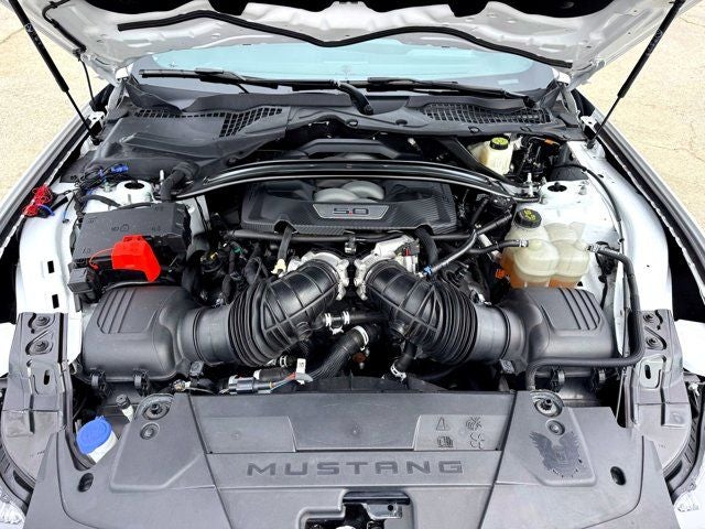 2024 Ford Mustang GT Premium Nite Pony