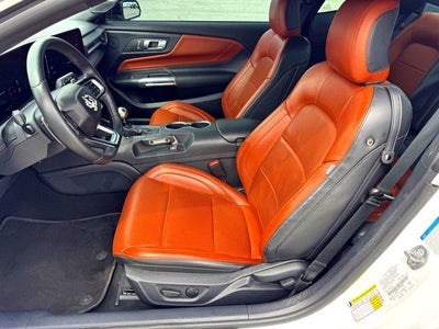 2024 Ford Mustang GT Premium Nite Pony