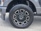 2025 Ford F-250SD Platinum