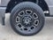 2025 Ford F-250SD Platinum