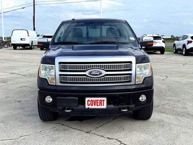 2010 Ford F-150 Platinum