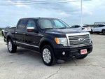 2010 Ford F-150 Platinum