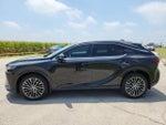 2025 Lexus RX 350h Luxury