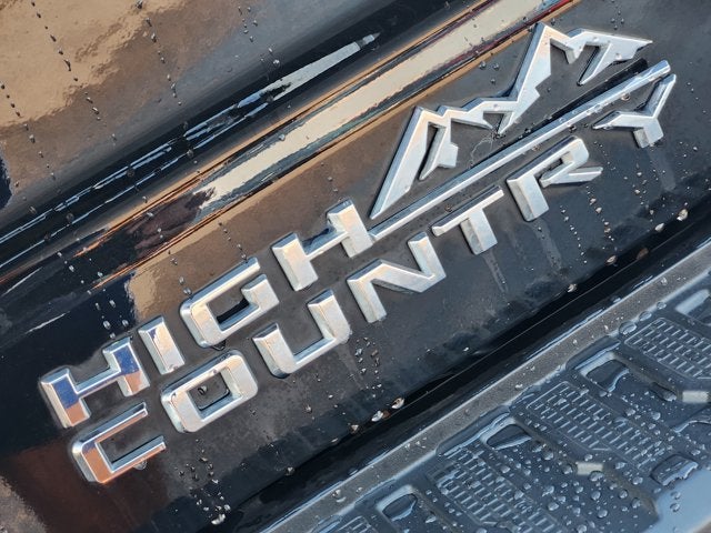 2021 Chevrolet Silverado 1500 LT Texas Edition