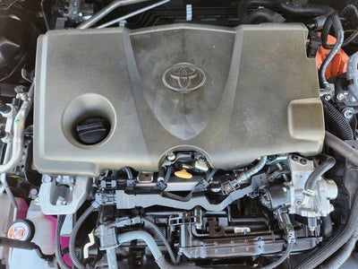 2025 Toyota Camry XLE Premium Plus