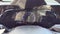 2022 Lexus NX 250 Base
